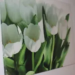Dabrowski * Nadarzyn