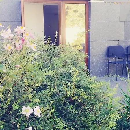 Dabrowski * Nadarzyn