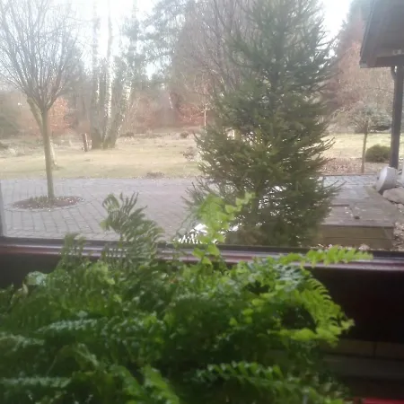 Dabrowski * Nadarzyn