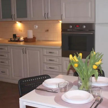 Dabrowski Apartment Nadarzyn