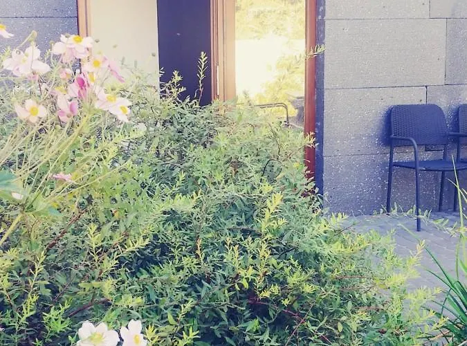 Dąbrowski * Nadarzyn