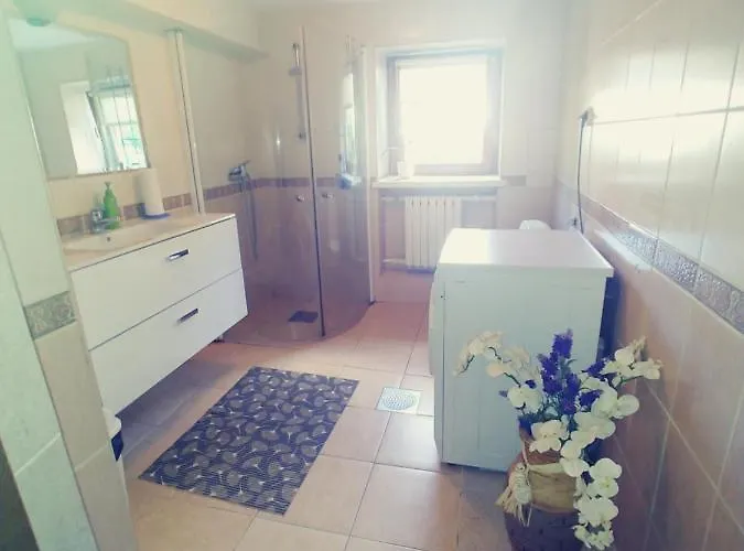 Apartament Dąbrowski *